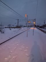 36937-1.jpg