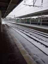 36942-5.jpg