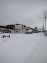 36947-6.jpg