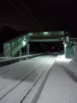 36950-1.jpg