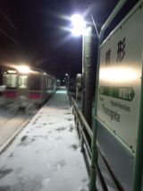 36951.jpg
