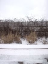 36971-8.jpg