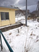 36972-1.jpg