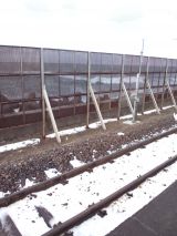 36973-1.jpg