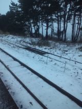 36997-3.jpg