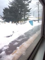 37006.jpg