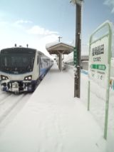 37024.jpg