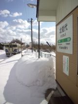 37036-5.jpg