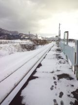 37037-3.jpg