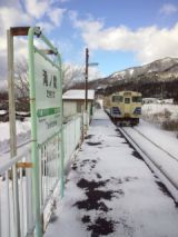 37037.jpg