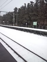 37077-6.jpg