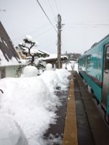 37119-5.jpg