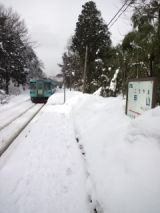 37120.jpg