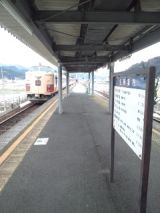 37131.jpg
