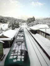 37151.jpg