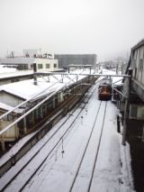 37154.jpg