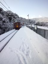 37155.jpg