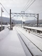 37156-3.jpg