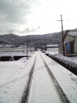 37156.jpg