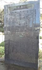 37161-3.jpg