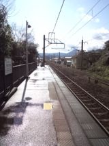 37161-5.jpg