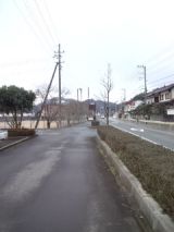 37162-4.jpg