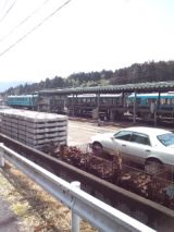 37166-1.jpg