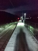 37182-1.jpg
