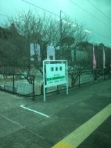 37204.jpg