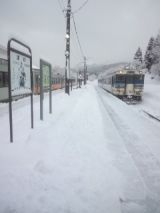 37223-3.jpg