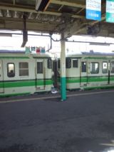 37240.jpg