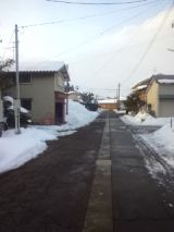 37248-4.jpg
