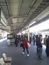 37269-2.jpg