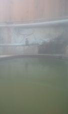 37281-1.jpg