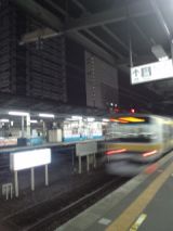 37302.jpg