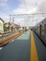 37308.jpg