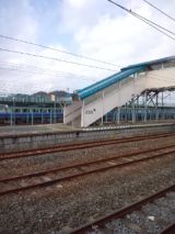 37316-5.jpg