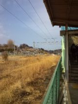 37317-1.jpg