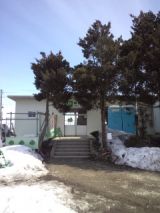 37338-3.jpg