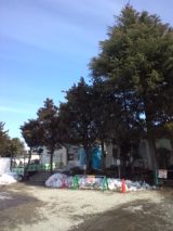 37338-4.jpg