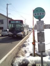 37340.jpg