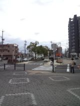 37368-3.jpg
