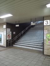 37370.jpg