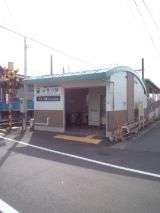 37374.jpg