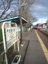 37381.jpg