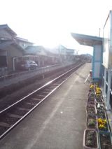 37383-2.jpg