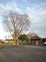 37384-8.jpg