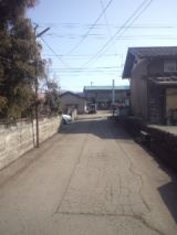 37404-4.jpg