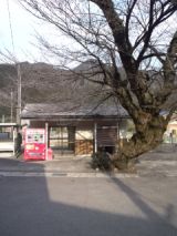37420-1.jpg