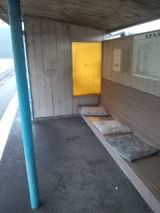 37423-4.jpg